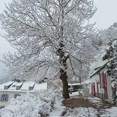 Comfortable Farm House Petit Barzun, In The Parc National Pyrenees Bareges Exterior photo